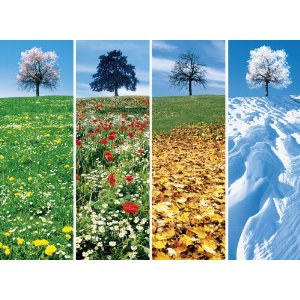 Puzzle de 3000 piezas