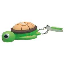 Pen tortuga marina