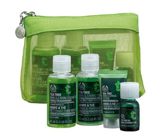 Kit árbol de té