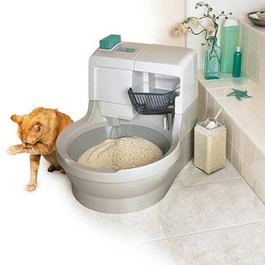 Baño para gatos